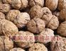 供应贵州核桃苗，云南核桃苗，大泡核桃