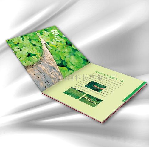 画册  浦东新区 张江  印刷  设计