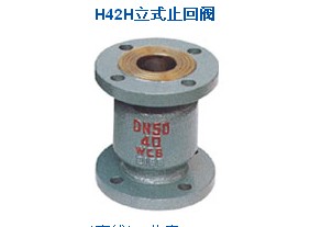 立式止回阀  阀门