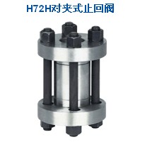 对夹式止回阀  阀门