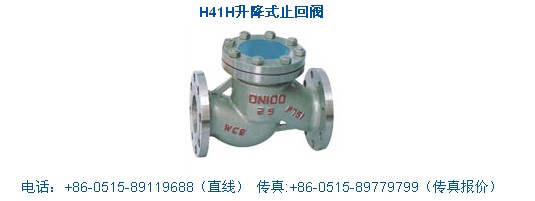 升降式止回阀  阀门
