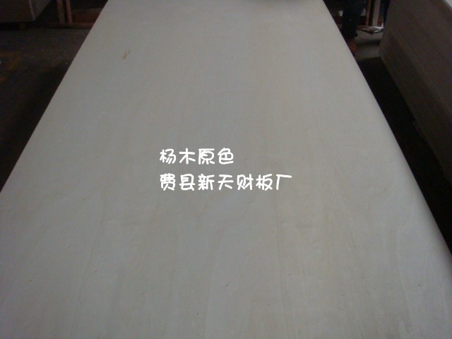 供应杨木芯CARB P2胶合板家具板  CARB家具板  CARB胶合板  CARB贴面板