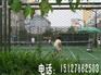 供应石笼网