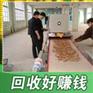 黄粉虫养殖前景