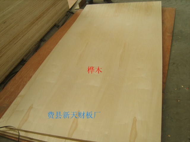 供应桦木面底杨木芯胶合板  家具板  多层板