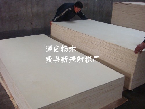 双面漂白杨木LVB胶合板  家具板