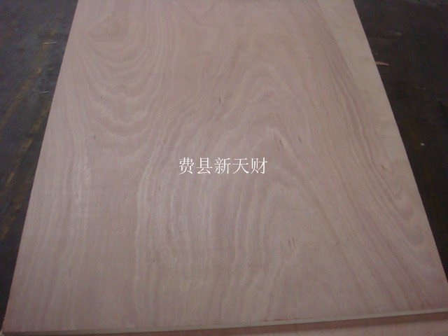 全杨木木质衣架专用高档夹板胶合板  家具板
