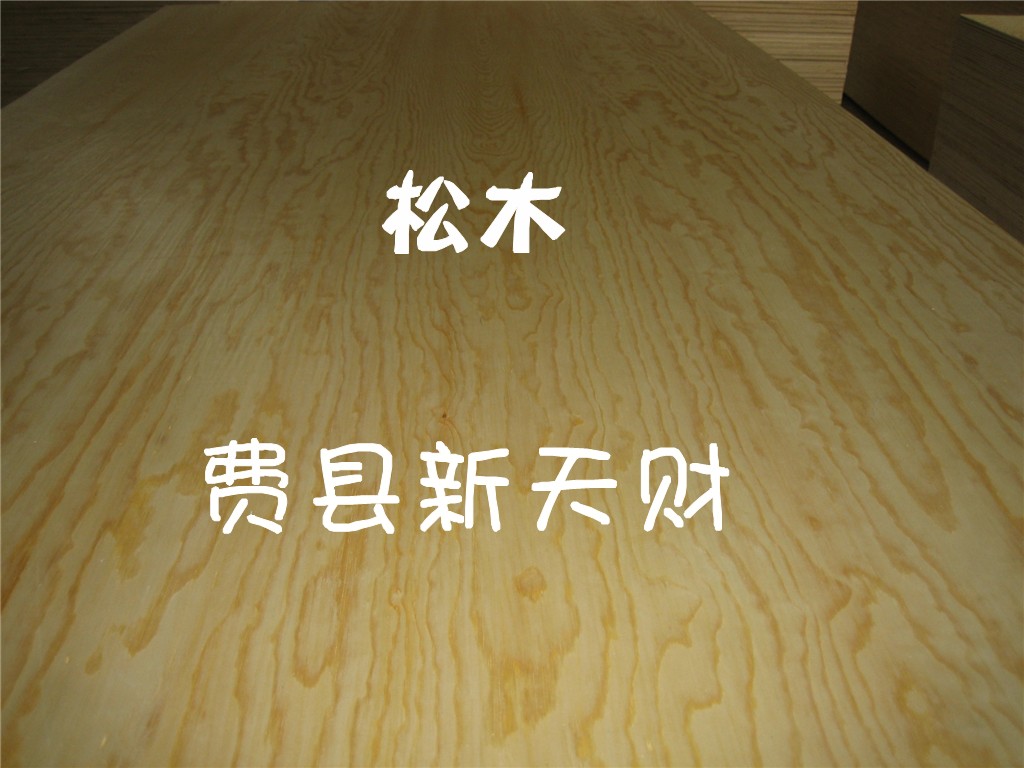 樟子松面杨木芯胶合板  夹板  家具板