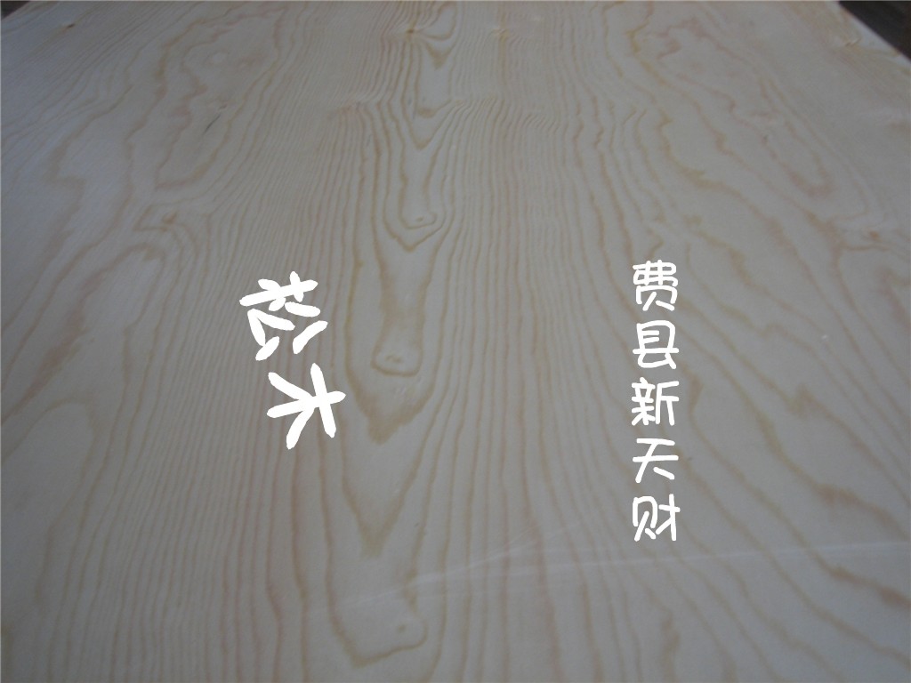 樟子松面杨木芯胶合板  夹板  家具板
