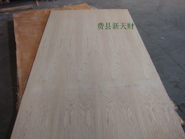 红橡面杨木芯胶合板  家具板  多层板