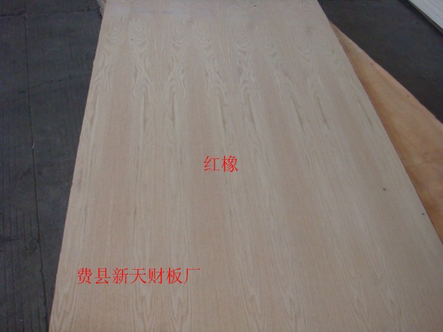红橡面杨木芯胶合板  家具板  多层板