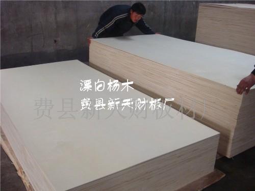 漂白杨木LVB家具板  胶合板