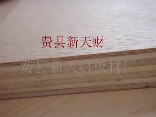 漂白杨木LVB家具板  胶合板
