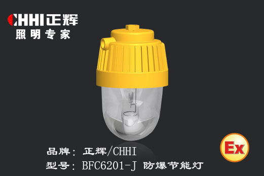 防爆平台节能灯  防爆节能灯