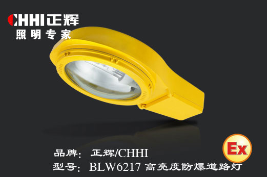 高亮度防爆道路灯