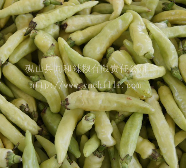 泡椒  小米椒  泡小米椒
