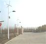 30W*2厂家直销风光互补路灯