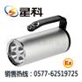 供应RJW7102<RJW7102>手提式防爆探照灯“星科品质”