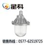 供应NFC9112，防眩泛光灯NFC9112“NFC9131”