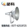 供应NTC9210-NTC9210防震型投光灯（NTC9210）