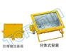 防爆泛光灯,防爆道路灯
