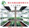 ZRS-1JSW智能人工气候培养室