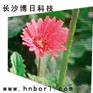 LED电子显示屏技术研发相关产品