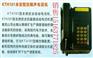 供应KTH101防爆电话