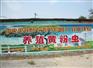 供应养殖什么最赚钱 黄粉虫 养殖业什么最赚钱  黄粉虫养殖业