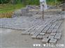 供应免烧水泥砖