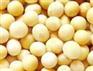 ★▁★天荣现款求购玉米棉粕高粱等饲料原料