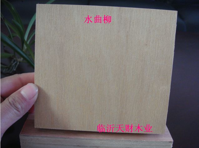 临沂供应全杨木CARB P2多层夹板（沙发内架用）  EO家具内衬板  EO胶合板  全杨木家具板