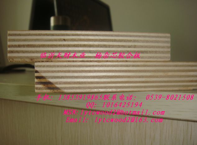 板式家具专用CARB P2 多层板，全杨木、桉木多层板  P1/P2多层板  全杨木胶合板  桉木多层家具板