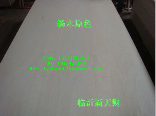 CARB超低无醛环保全杨木原色家具板（P1/P2）  EOE1胶合板  P1/P2杨木板  全杨木家具板