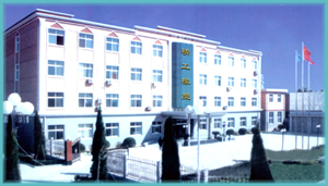 衡水精工橡塑制品有限公司