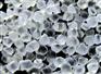 供应天津pvc穿筋盒专用颗粒料 河北pvc穿筋盒专用颗粒料