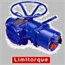 美国利密托克Limitorque电动执行器