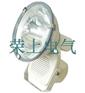NTC9200 防震型超强投光灯