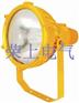 BTC8210 防爆投光灯