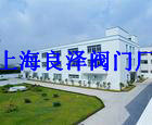 上海电站阀门厂有限公司