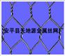 供应金属网，铁丝网，拧花网