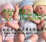 人体硅胶，透明硅胶，手办专用半透明模具胶