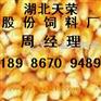 【天荣现款】求购玉米大小麦油糠等饲料原料