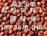 【【天荣现款】】求购玉米米糠粕大小麦等饲料原料