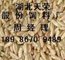 【【天荣现款】】求购大小麦玉米次粉等饲料原料