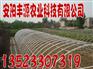 供应无支柱搭配骨架，花卉大棚支架，新型大棚支架，安阳丰源