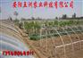 供应 大棚支架机 大棚支架 温室大棚 五洲