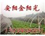 供应新型镀塑温室大棚支架