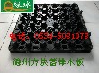 LQPE-12排水板，足球场专用排水板&nbsp;&nbsp;足球场排水板&nbsp;&nbsp;建筑用排水板&nbsp;&nbsp;浴场疏水板
