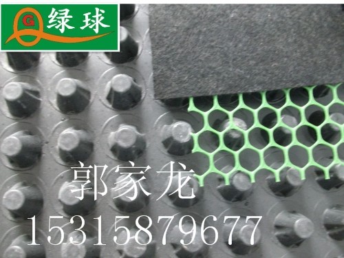 LQPE-12排水板，足球场专用排水板&nbsp;&nbsp;足球场排水板&nbsp;&nbsp;建筑用排水板&nbsp;&nbsp;浴场疏水板
